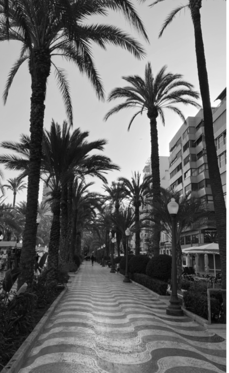 SPANISH EXCHANGE - students explore the city of Alicante before heading off to Madrid.